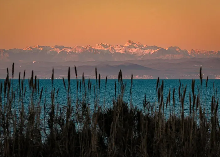 Unit_type_semidetached_house Umag 55102 Holiday home Umag